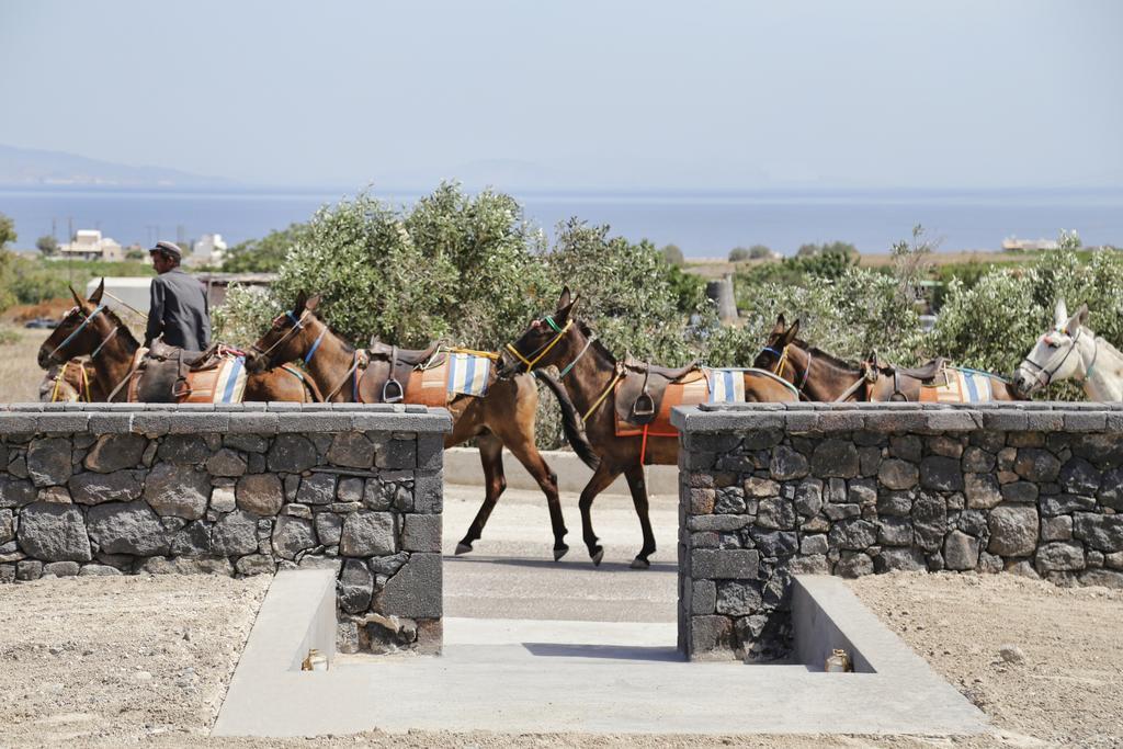 Vino Houses Santorini Foinikiá Eksteriør bilde